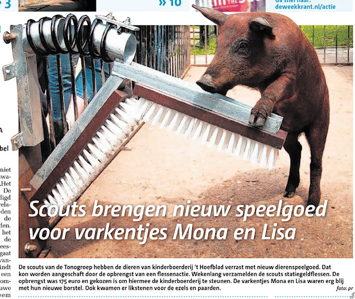 Voorpagina het Nieuwe Stadsblad van 24 juli 2013